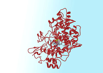 Molecular structure representing Aspirin bound to Cyclooxygenase-2 (COX-2)