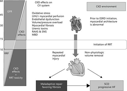 Declining GFR is associated with multiple stressors upon the CV system including volume/pressure overload, oxidative stress, and activation of the RAAS and neurohumoral pathways. Prior to the initiation of renal replacement therapy, the heart undergoes maladaptive responses including reduced diastolic compliance, LVH, reduction in myocardial capillary density and uremia-induced myocardial fibrosis. Following the initiation of renal replacement therapy, ‘non-physiologic' fluid removal worsens myocardial ischemia leading to progressive heart failure and sudden cardiac death.