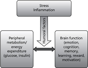 Role of humoral factors in normal and pathological nexus between peripheral metabolism and brain functions. Reprinted with permission from Kaidanovich-Beilin et al. [17].