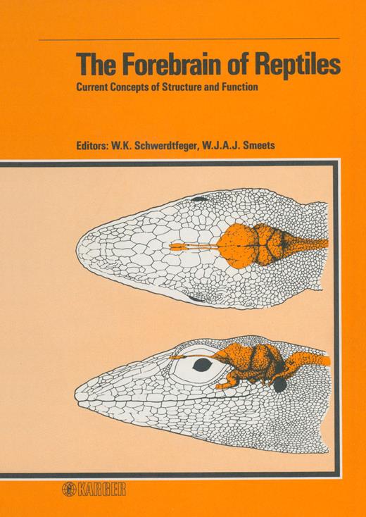 Organization of the Cerebral Cortex in Turtle The Forebrain of