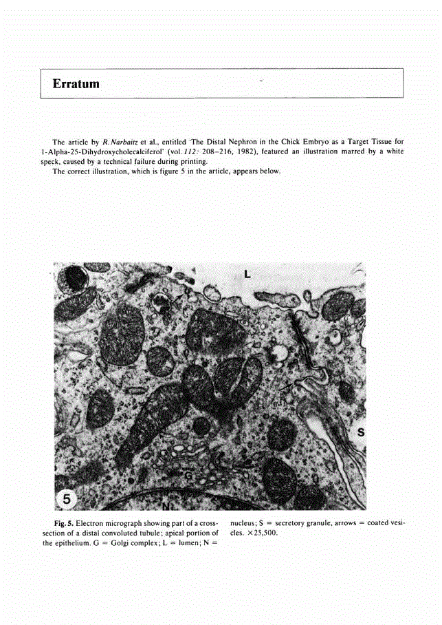 First page of Erratum