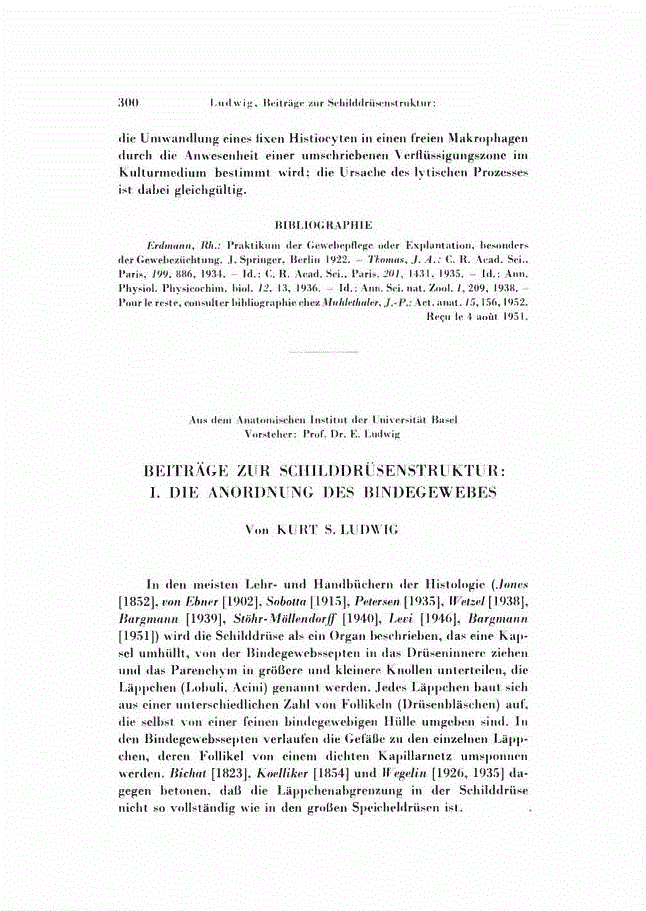 First page of BEITRÄGE ZUR SCHILDDRÜSENSTRUKTUR: I. DIE ANORDNUNG DES BINDEGEWEBES