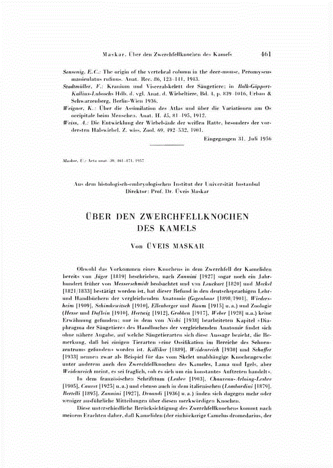 First page of ÜBER DEN ZWERCHFELLKNOCHEN DES KAMELS
