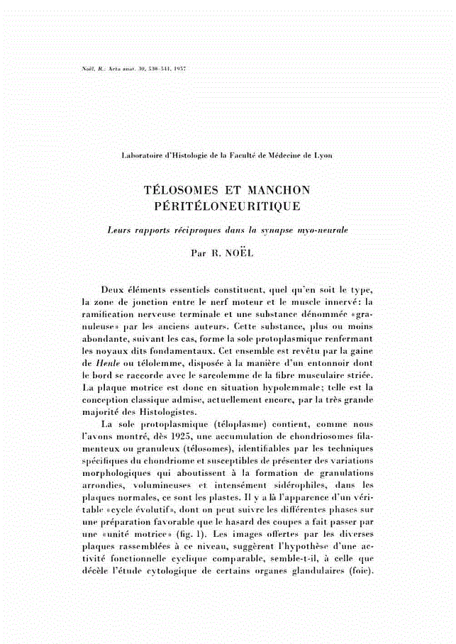 First page of TÉLOSOMES ET MANCHON PÉRITÉLONEURITIQUE<subtitle>Leurs rapports réciproques dans la synapse myo-neurale</subtitle>