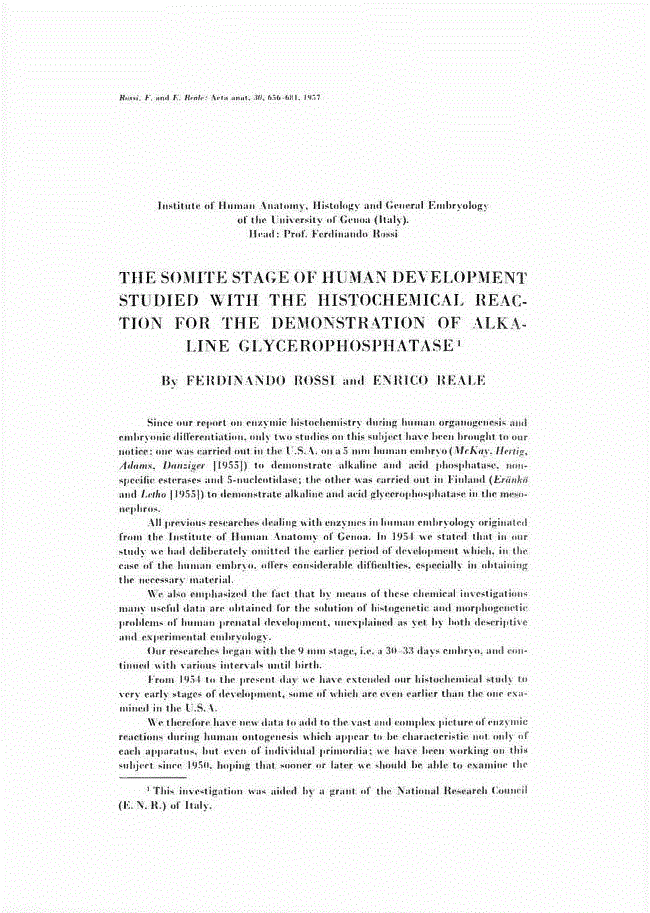 First page of THE SOMITE STAGE OF HUMAN DEVELOPMENT STUDIED WITH THE HISTOCHEMICAL REACTION FOR THE DEMONSTRATION OF ALKALINE GLYCEROPHOSPHATASE