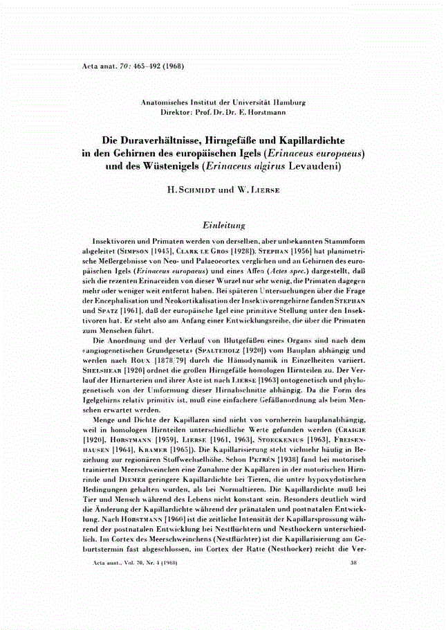 First page of Die Duraverhältnisse, Hirngefäβe und Kapillardichte in den Gehirnen des europäischen Igels (<italic>Erinaceus europaeus</italic>) und des Wüstenigels (<italic>Erinaceus algirus</italic> Levaudeni)