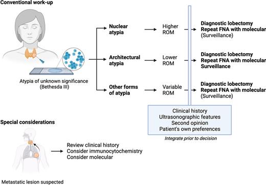 Schematic representation of clinical triaging of patients with a preoperative Bethesda III category lesion. Thyroid FNA analyses with atypical features stratified into nuclear, architectural, or “other” are associated with various ROM. Preferred clinical workup is highlighted in bold text. Integration of other clinical parameters is imperative for all TBSRTC III lesions. Created using BioRender.com.