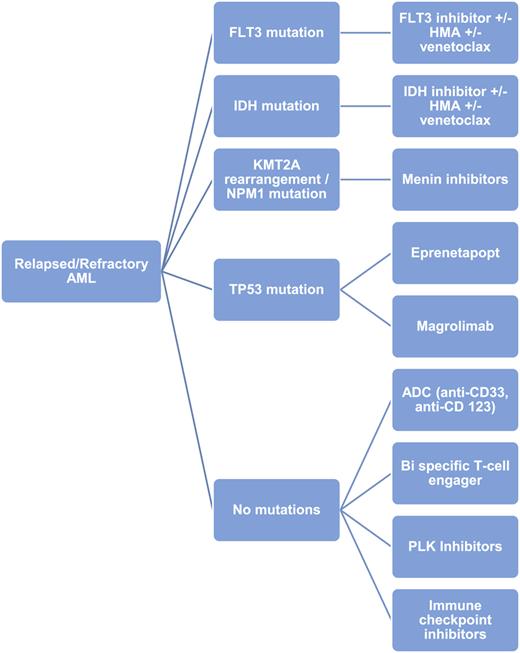 Acute Myeloid Leukemia Treatment in the Elderly: A Comprehensive Review ...