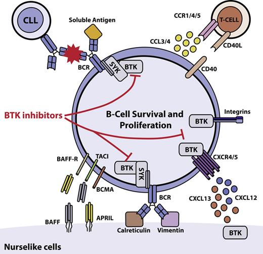 Chronic Lymphocytic Leukemia: Disease Biology | Acta Haematologica ...