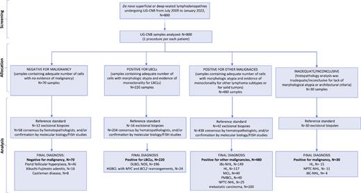 Consort diagram. The flow of UG‐CNB samples through the study. UG, ultrasound‐guided; CNB, core needle biopsy; FISH, fluorescence in situ hybridization; DLBCL NOS, diffuse large B-cell non‐Hodgkin lymphoma not otherwise specified; HGBCL, high-grade B-cell lymphoma; HL, Hodgkin lymphoma; iBc‐NHL, indolent B-cell non‐Hodgkin lymphoma; NPTC‐NHL, nodal peripheral T‐cell non‐Hodgkin lymphoma; MCL, mantle cell lymphomas; PMBCL, primary mediastinal B-cell lymphoma.