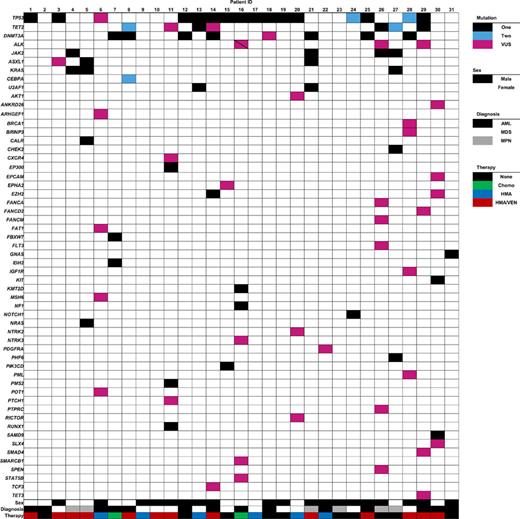 Myeloid malignancy gene mutational status in MN patients with RC. AML, acute myeloid leukemia; Chemo, chemotherapy; HMA, hypomethylating agent; MDS, myelodysplastic syndrome; MPN, myeloproliferative neoplasm; VEN, venetoclax; VUS, variant of unknown significance.