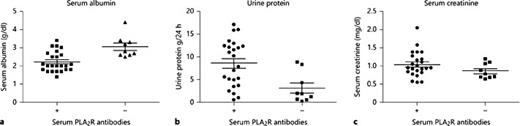 Fig. 4. The association between serum PLA2R-Ab and severity of nephrotic syndrome in the renal PLA2R(+) idiopathic MN patients. Compared with serum PLA2R-Ab(-) individuals, these patients with serum PLA2R-Ab(+) had lower serum albumin (a, p < 0.001) and higher urine protein excretion (b, p = 0.006). There was no significant difference in serum creatinine between these 2 groups (c, p = 0.161).