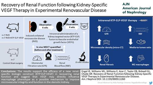 Visual Abstract. 