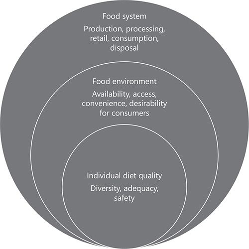 Fig. 1. Diets are shaped by food environments and food environments are shaped by food systems (Meerman [58]).