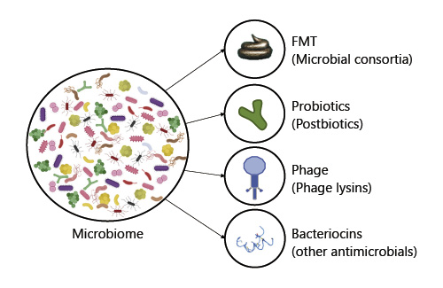 Mining the microbiome for selective depletion strategies. FMT, faecal microbiota transplantation.