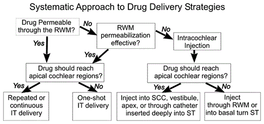 Fig. 4. Idealized flowchart for drug delivery to the ear, taking into account the known distribution properties and limitations of different delivery systems. IT = Intratympanic; SCC = semi-circular canal.