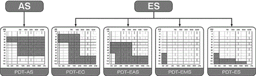 Fig. 1. The PDT concept.