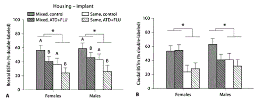 Fig. 3. Both social environment and androgen levels cryptically regulate VT-ir neurons in the BSTm of the opportunistically breeding zebra finch. VT-Fos colocalization was greater in subjects from mixed-sex groups than subjects from same-sex housing, both at rostral (A; p = 0.002), and caudal (B; p = 0.0007) levels of the BSTm. CTRL subjects likewise exhibited higher colocalization rates than ATD+FLU subjects, although solely at the rostral (A; p = 0.01) and not caudal (B; p = 0.31) BSTm. Data are shown as means ± SEM. * Denotes groups differing at p < 0.05 for main effect of housing. Different letters above bars denote groups differing at p < 0.05 for main effect of implant type. See figure 2 for an explanation of treatment groups and other acronyms.