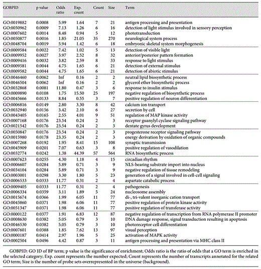 List of GO BPs overrepresented in a set of genes differentially expressed in the brain of sticklebacks exposed to predator cues at p < 0.01