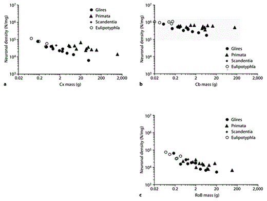 Fig. 8. Neuronal cell densities scale differently across structures and orders. Each point represents the average structure mass and neuronal cell density (number of neurons/milligram) in the cerebral cortex (a), cerebellum (b), or RoB (c) of each species. N = Number of neurons; Cx = cerebral cortex; Cb = cerebellum.