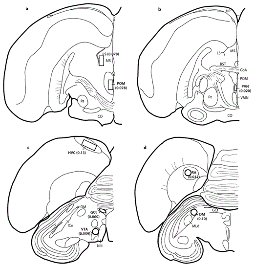 Fig. 3. Brain regions of interest and areas of FOS-immunolabeling measurement. Measurement region areas (mm2) are indicated in parentheses. BST = Bed nucleus of the stria terminalis; CO = optic chiasm; CoA = anterior commissure; HP = hippocampus; ICo = intercollicular complex; MLd = nucleus mesencephalicus lateralis pars dorsalis; MS = medial septum; NIII = oculomotor nerve; Rt = nucleus rotundus; VMN = ventromedial nucleus of the hypothalamus.