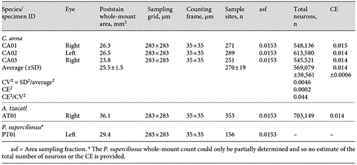 Stereological parameters and estimates of the total number of neurons in the RGC layer in 3 species of hummingbird