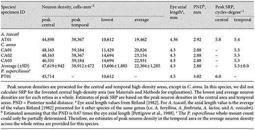 Neuron densities and optical parameters used to estimate the theoretical peak SRP in 3 species of hummingbird