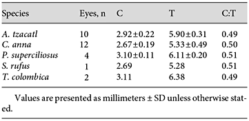 Eye morphology in 5 species of hummingbird