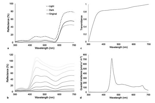Fig. 2. a Spectral reflectance of the original red stimuli used in two- and three-card discrimination experiments, and the light and dark red stimuli used in the different brightness experiment. b Spectral reflectance of the 8 distractor grey stimuli used in all experiments. c Spectral transmittance of the ocular media. d Downwelling spectral irradiance of the experimental arena used for the behavioural tests.