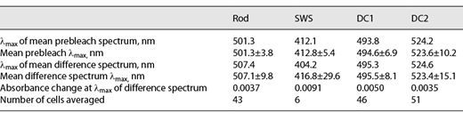 Spectral characteristics of rod and cone visual pigments in the retina of U. lineatus measured using microspectrophotometry