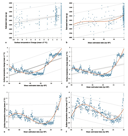  Relationship between Homobrain size (g) and global average temperatures (changes in Antarctic surface temperature [°C] relative to the mean for the last millennium). a Across the past 50,000 years, brain size demonstrated an inverse relationship with climate change (LSR, rg = −0.362; p< 0.0001; Durbin-Watson, 1.224). b, c However, the linear relationship between brain size and climate change is confounded by differences across time series (online suppl. Fig. S1) and cubic trends. d–f As the climate record moves from present day back temporally, the time series (online suppl. Fig. S1) and cubic trends more closely align with brain size trends over time. Black lines represent linear trends; red lines represent cubic trends; gray lines indicate 95% confidence intervals around the observations; and dotted gray lines represent the confidence intervals for each  model.