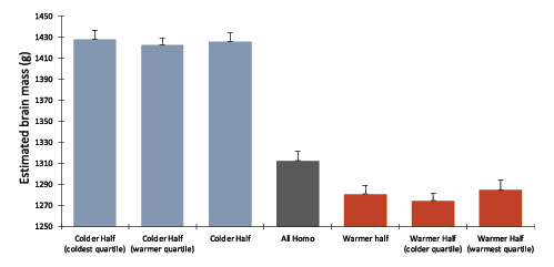  Relationship between brain size (g) and global climate change (changes in Antarctic surface temperature [°C] relative to the mean for the last millennium) across 100-year increments during extreme temperature periods. “All Homo” (n= 298) represents the average estimated brain size across the entire 50 kyr BP period using the data from Fig. 2a. To either side of “All Homo” is the mean across colder (n= 65) and warmer (n= 233) average temperatures, respectively (as reported in Table 1). The sample was then broken down into quartiles and colder and warmer than average temperature periods were compared against one another. Significant differences were found between the sample average (“All Homo”) and all other groups within the chart (all tests, p< 0.02, ttests), as well as across all warmer and colder groups (all tests, p< 0.0001, ttests), except the warmest quartile with respect to the sample average, which was directionally similar but not significant (p= 0.08, ttest); no significant differences were found within warmer or colder average periods (all tests, p> 0.50, ttests). Error bars represent the standard error of each mean estimate.