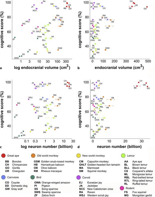 The Relationship between Cognition and Brain Size or Neuron Number ...