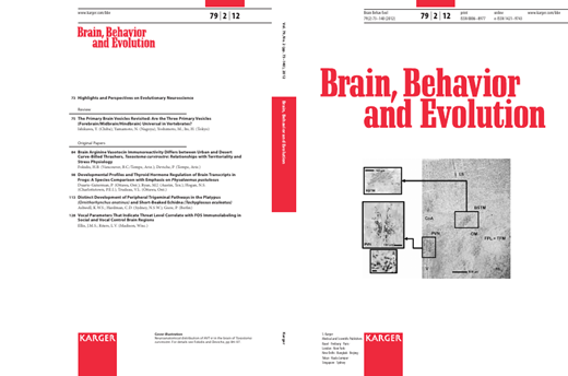 Brain Behavior and Evolution Cover Image for Volume 79, Issue 2