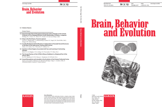 Brain Behavior and Evolution Cover Image for Volume 79, Issue 3