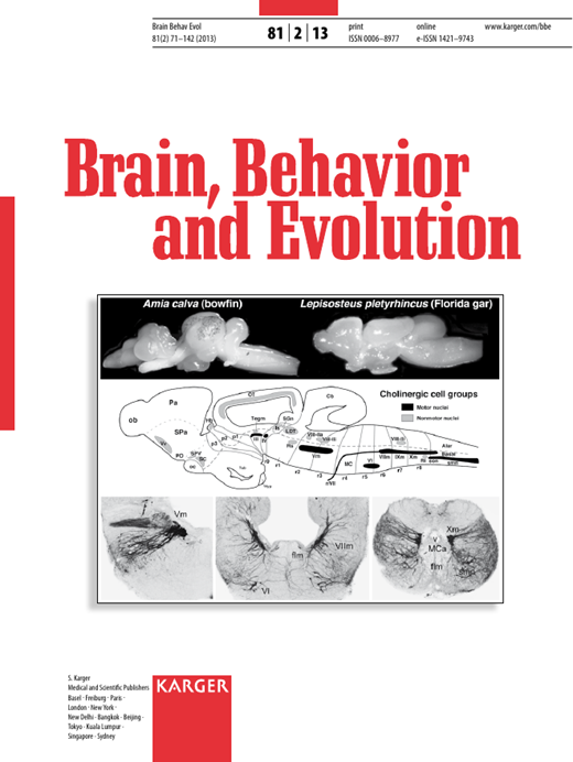 Brain Behavior and Evolution Cover Image for Volume 81, Issue 2