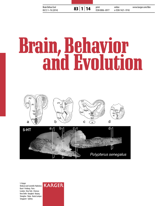 Visual Acuity in a Species of Coral Reef Fish: Rhinecanthus aculeatus ...