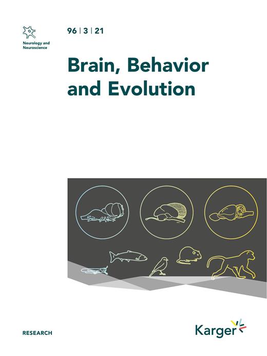 Brain Behavior and Evolution Cover Image for Volume 96, Issue 3