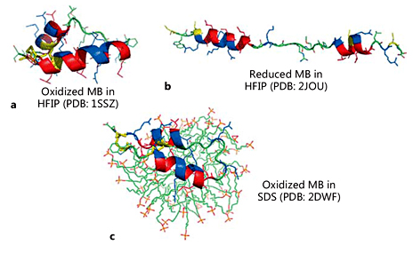 Fig. 3. Residue-specific 3D structures for Mini-B (MB) in either HFIP solutions (a, b) or SDS micelles (c) determined using 13C-FTIR or 2D-NMR spectroscopy. PyMOL representations of peptide backbones are shown as either thick (N- and C-terminal α-helices) ribbons or thin green (turn regions) ribbons; amino acid side-chains are represented as wireframes. Polar residues are colored blue, with nonpolar and cysteine residues in red and yellow, respectively. a The 13C-FTIR structure for oxidized MB, disulfide-linked at Cys-8 to Cys-40 and Cys-11 to Cys-34 (see bottom left; S-MB numbering) (PDB Accession Code: 1SSZ). The β-turn connecting the N-terminal (foreground) and C-terminal (background) α-helices is shown in green. b The 2D-NMR structure for reduced MB with no disulfide-links and the Cys-8 on the left and the Ser-41 on the right (PDB: 2JOU). c The 2D-NMR structure for oxidized MB with disulfide links associated with an SDS micelle; SDS molecules are modeled as stick figures, with their fatty acyl groups in green and polar headgroups in red (PDB: 2DWF). The N- and C-terminal helices of oxidized MB in either a or c reproduce the folding of these domains in homology-modeled SP-B (see Fig. 1).