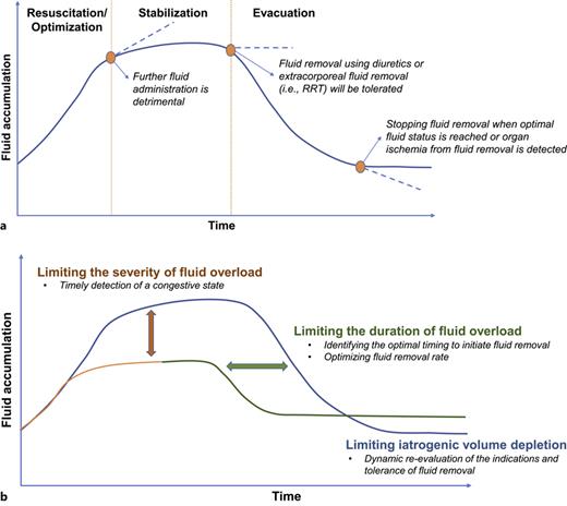 a Four temporal phases of fluid therapy in critical illness have been proposed. Early resuscitation is the initial 3–6 h after presentation in which adequate intravenous fluids are associated with improved outcomes. Optimization is the subsequent phase when additional intravenous fluids may or may not be required but should be carefully titrated, provided only to patients with ongoing end-organ hypoperfusion and with potential to benefit, as evidenced by FR. A neutral fluid balance is typically targeted during the stabilization phase, when further intravenous fluids are unlikely to be beneficial and may be associated with increased harm. Finally, a negative fluid balance is targeted during the evacuation phase, which is also known as de-resuscitation. b Modification of the timing at which the transition between phases occurs may result in an optimal fluid management strategy by safely reducing the amount of time during which deleterious fluid accumulation is present.