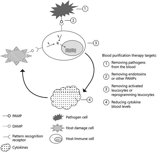 Immunoinflammatory cascade and EBP targets. When a host is infected, immune cells recognize specific patterns on pathogen surface membranes known as PAMPs. Recognition of PAMPs activates the host immune cells to produce anti- and pro-inflammatory cytokines such as TNF-alpha, IL-1, IL-6, IL-8, and IL-10. Injured host cells also express DAMPs, which further enhance leukocyte activation and cytokine production. This circular activation leads to immunoinflammatory dysregulation. EBP devices can intervene with this cycle by one of four methods: direct pathogen removal, removal of endotoxins or other PAMPs, immunomodulation by removal or deactivation of leukocytes, or removal of circulating cytokines. Reproduced with permission from Monard et al. [151]. DAMP, damage-associated molecular pattern; EBP, extracorporeal blood purification; IL, interleukin; PAMP, pathogen-associated molecular pattern; TNF, tumor necrosis factor.