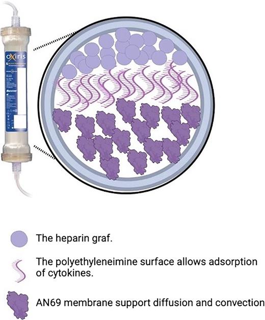 oXiris membrane with diagram of structure.
