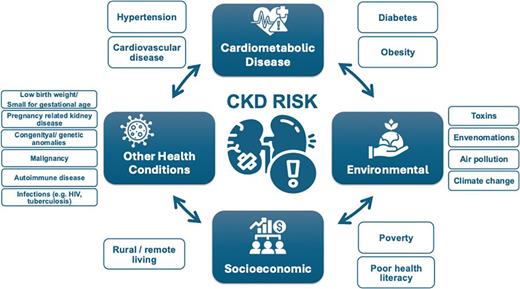 Risk factors for CKD.