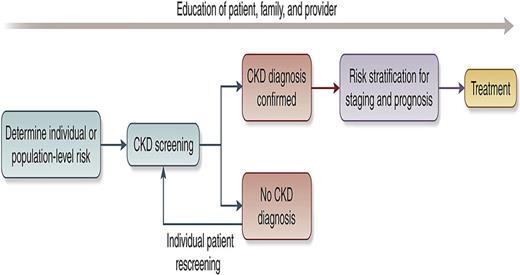 Conceptual framework of a CKD testing, risk stratification, and treatment program (see Shlipak et al. [30]).
