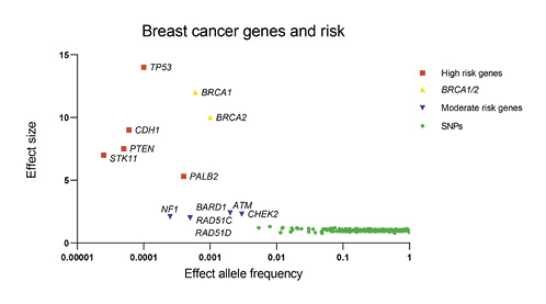 Fig. 1. Relative risk and allele frequencies of high-, moderate-, and low-risk genetic variants.