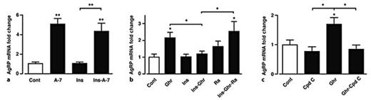 Fig. 7. Ghrelin increases arcuate AgRP mRNA levels by raising AMPK activity, an outcome prevented by insulin. a Mean normalized mouse arcuate AgRP mRNA following stimulation with 50 µM A-769662 (A-7), 50 nM insulin (Ins) and A-769662 (A-7) in the presence of insulin. b Arcuate AgRP mRNA levels following stimulation with 100 nM ghrelin, 50 nM insulin, 100 nM rapamycin (Ra), insulin in the presence of ghrelin and insulin in the presence of ghrelin and rapamycin. c Arcuate AgRP mRNA following stimulation with 40 µM compound C (Cpd C), 100 nM ghrelin (Ghr) and ghrelin in the presence of compound C. n = 5-9 for each condition. Values are means ± SEM. * p < 0.05; ** p < 0.01.
