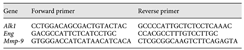Primers used for qPCR