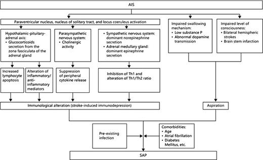 Fig. 1. A scheme demonstrating the pathophysiology of SAP: combining the aspiration theory with the stroke-induced immunodepression theory in addition to the effect of comorbidities.