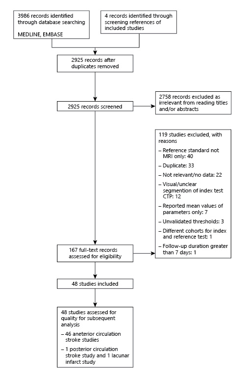  Flowchart of the studies retrieved from the systematic review search strategy.