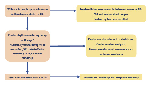  Flowchart of recruitment and study protocol.